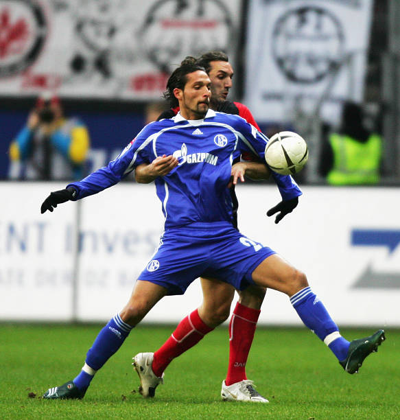 也在借鉴这 也在借鉴这